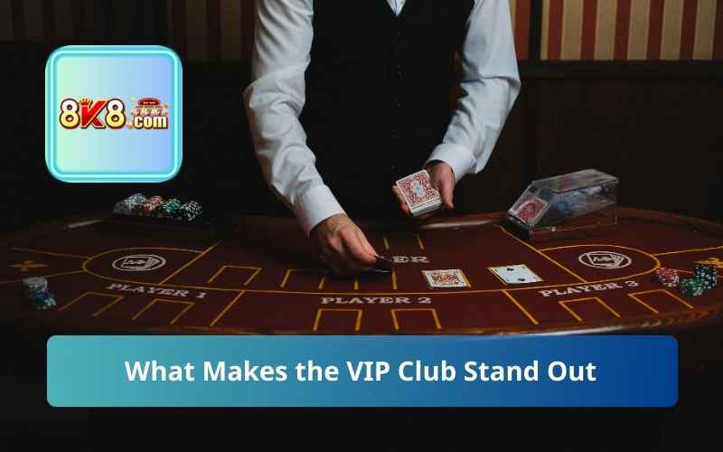 What Makes the VIP Club Stand Out